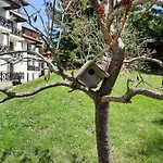 Apartment Lusi Holiday, смолянски езера Smolyan