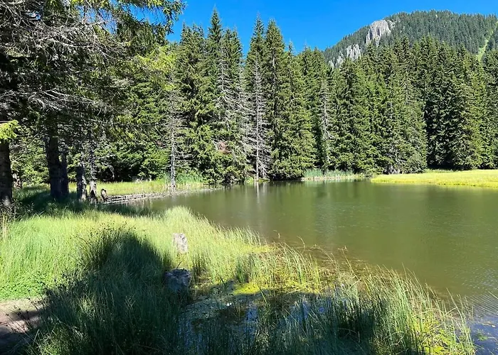 アパート Lusi Holiday, смолянски езера スモーリャン